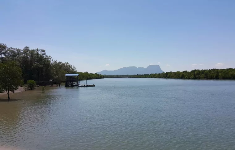 9-Day Ultimate Borneo Wildlife Bike Safari
